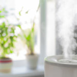 Humidifier in Anaheim, CA